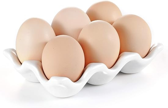 URWOOW Cup Egg Tray Holder (White) | Amazon (US)