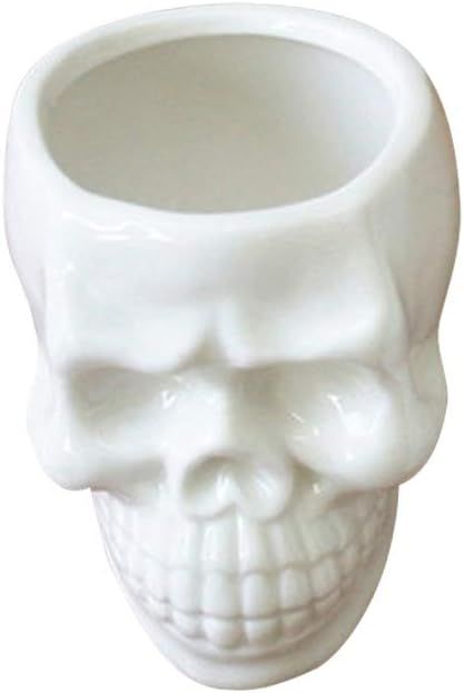 Vosarea White Ceramic Skull Shaped Succulent Planter Pots,Cute Cactus Plant Pot Creative Pen Penc... | Amazon (US)