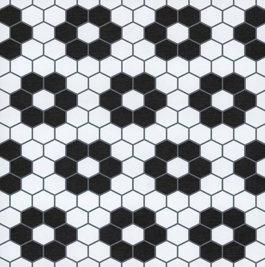 FloorPops FP3931 Biscotto Peel & Stick Floor Tiles, Black | Amazon (US)