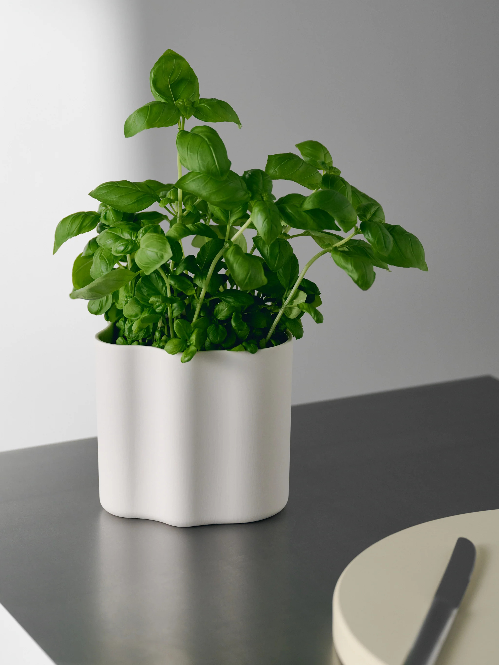 Jar medium, white | Withinmood