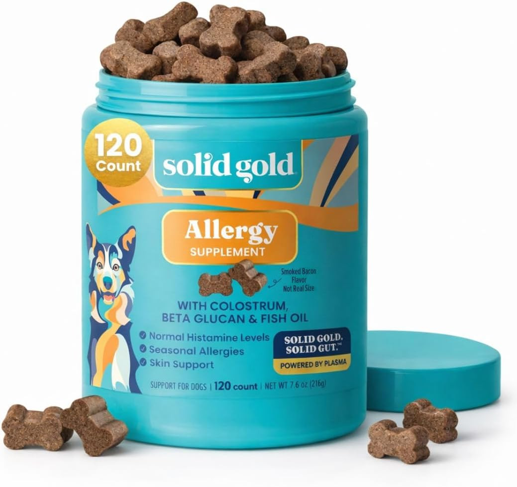 Solid Gold Dog Allergy Chews, Itchy Skin & Immune Support Supplement, 120ct | Amazon (US)