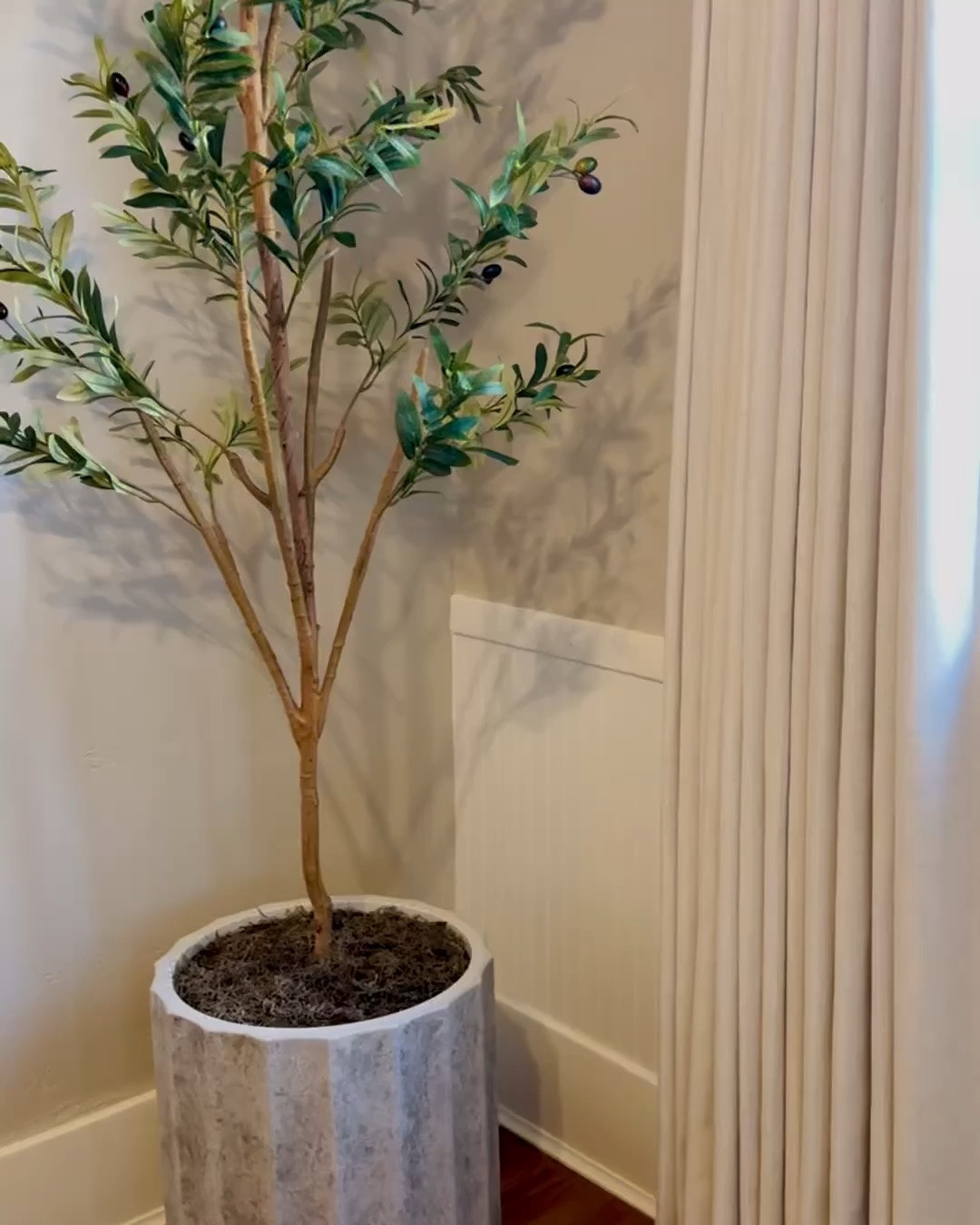 Adding greenery really brightens up a space! This faux tree is well worth the price tag of under $45! It’s 7ft tall and fits perfect in my small dining corner! 

Home Decor | Affordable Finds | Faux Olive Tree | Dining Room

#LTKHome #LTKSaleAlert #LTKSeasonal
