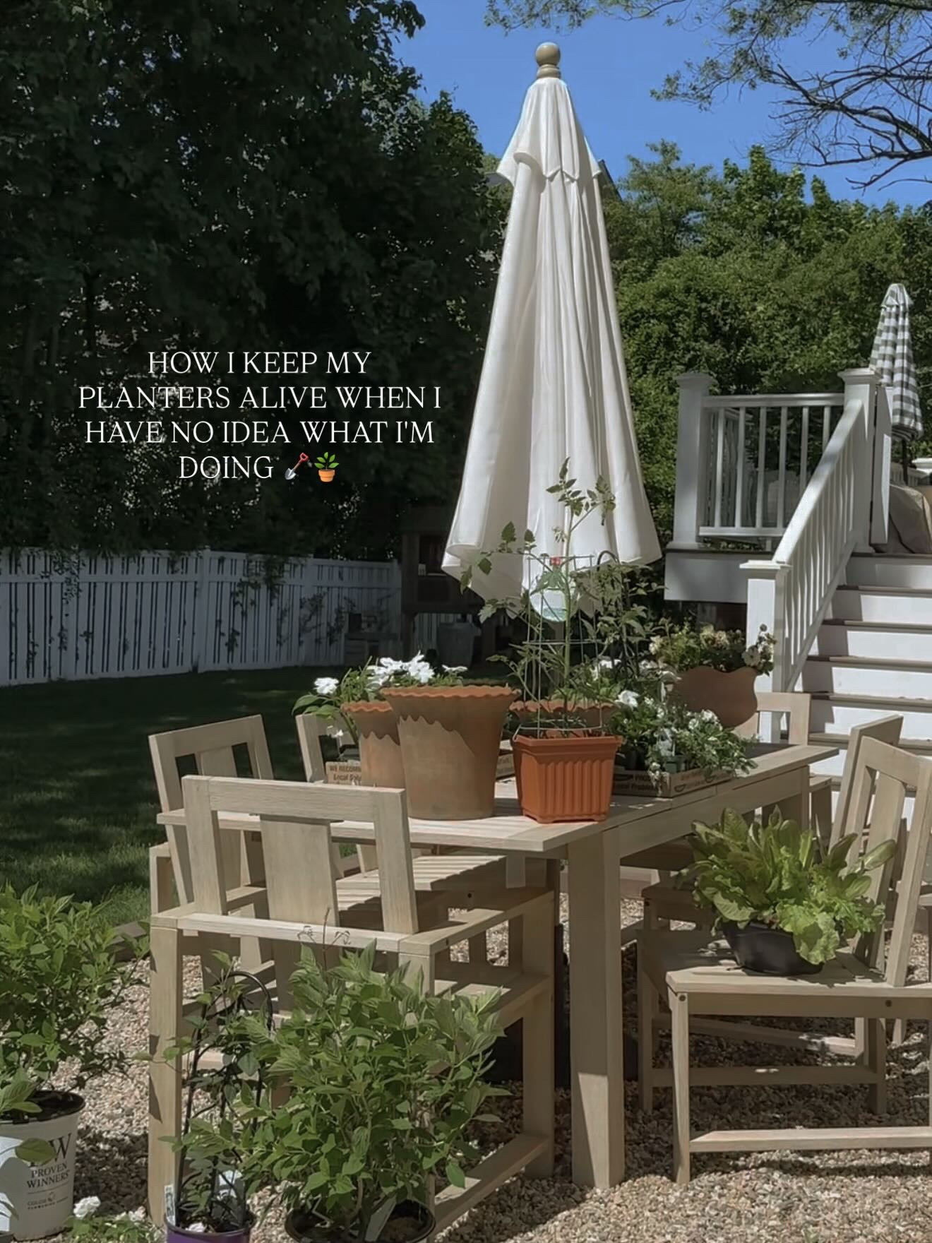 How I keep my outdoor planters alive (even without a green thumb) 🪴🪏

I love the look of full, beautiful planters… but I’ve never naturally been “good” with plants. So instead of guessing, I started using ChatGPT like my personal garden helper.

Here’s exactly how I do it:
+ i send a photo of my space so it understands the light (full sun, partial shade, etc.)
+ i send photos of my planters so it knows the size + scale
+ at the nursery, I take pictures of the flowers I’m drawn to and ask if they’ll actually work
+ after planting, I check back in if anything starts looking off

The exact prompts I use:
• “Is this plant good for a planter in full sun?”
• “How often should I be watering this?”
• “Why are the leaves turning yellow / drooping?”
• “Should I move this to more or less sun?”
• “Is this overwatered or underwatered?”
• “What plants pair well together in this size planter?”
• “How do I make this look fuller?”
• “What should I do to revive this?”

It takes all the guesswork out and makes plants feel way more doable.

If you’ve ever stood in a nursery not knowing what to buy… save this for later + send to a friend who needs this 🤍

#planterideas #containergardening #outdoorliving gardentips