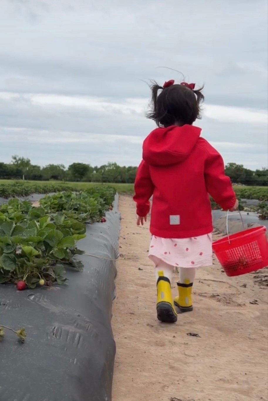 Rain gear for toddlers and young kids! We love reima because their products are incredible quality, can be passed down and the rainboots are barefoot friendly with a flexible sole!

#LTKmomlife #LTKKids