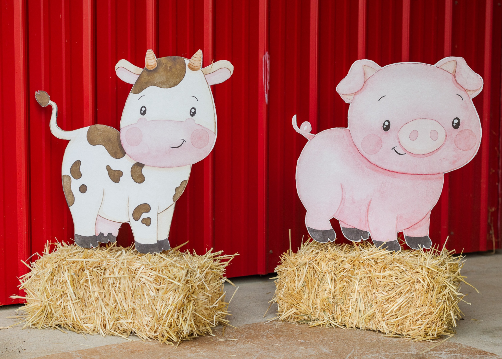 Farm Party / Barn Party / Cowboy Party / Barnyard Party / First Birthday Party / Boy Party 

#LTKParties #LTKBaby #LTKKids