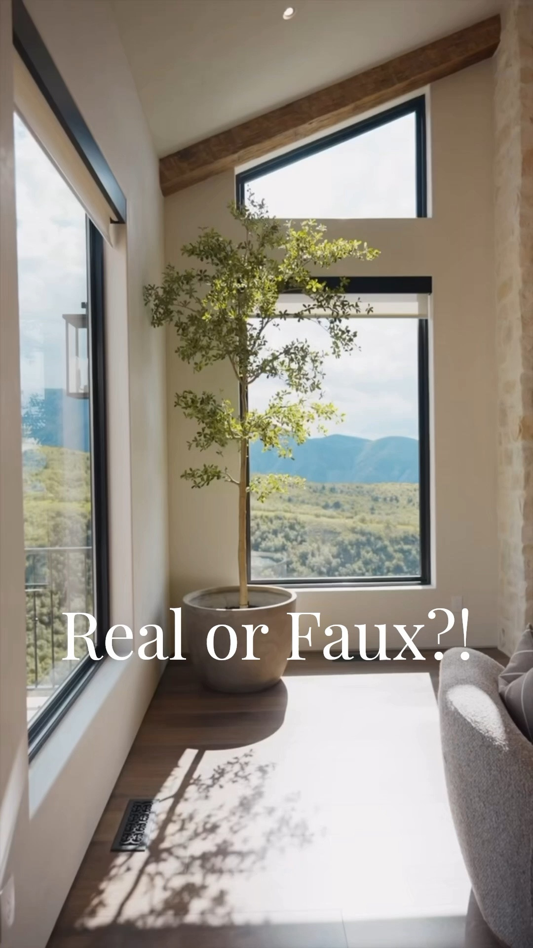 These faux trees come in lots of height options! They even have UV protected options too!! 

Go visit Trevi Homes, Monteluce # 38 in the Utah Valley Parade of Homes. Video work by Caleb Mikesell

#LTKSeasonal #LTKHome #LTKSaleAlert