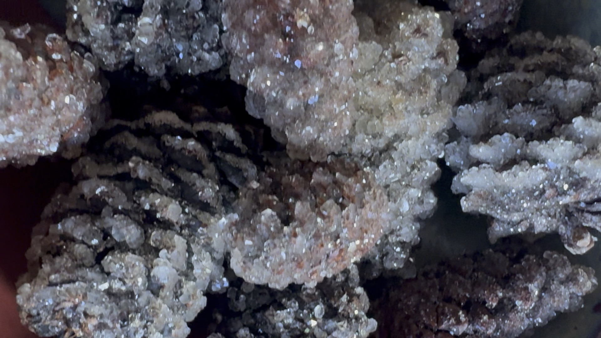 How to make ice covered pine cone winter holiday decor! 

#LTKhome #LTKSeasonal #LTKfindsunder50