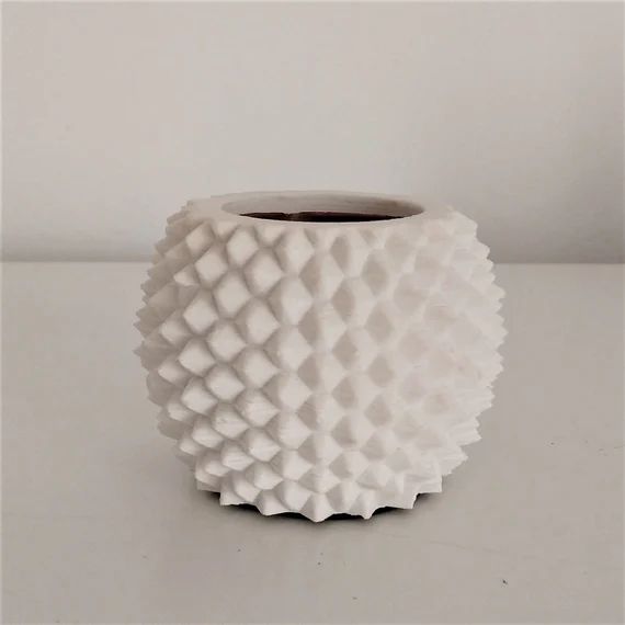 Mini sea urchin vase mini pot mini sea urchin-shaped vase | Etsy | Etsy (US)