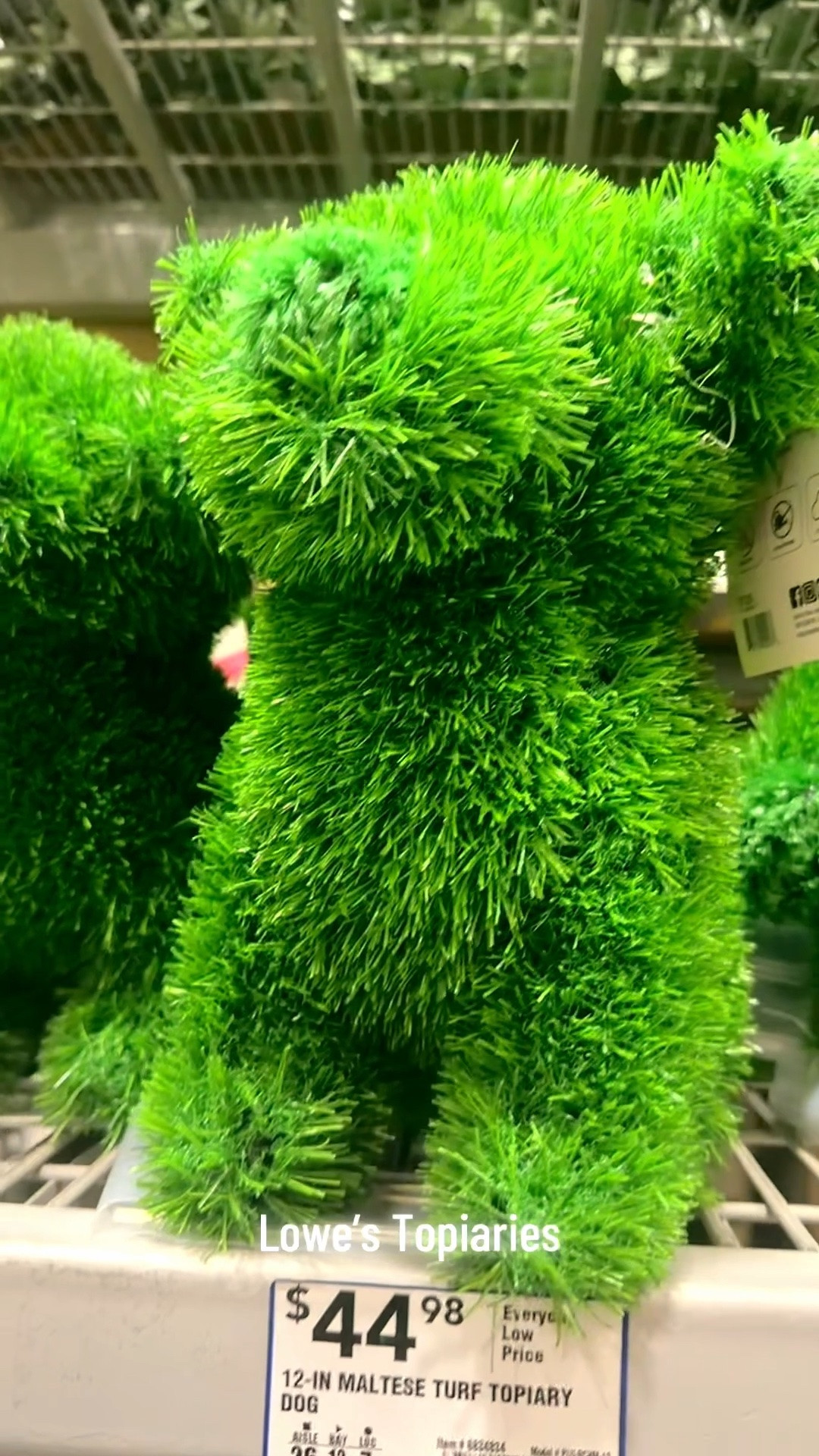🐰🐶🌿 Lowe’s has the cutest topiaries this season! From adorable bunny shapes to playful pups and charming gnomes, these greenery-inspired accents are perfect for adding personality to your porch, patio, or garden. Which one would you bring home? 💚✨

#LowesFinds #GardenDecor #TopiaryLove #OutdoorDecor #SpringDecor #GardenInspiration #FrontPorchDecor

#LTKHome