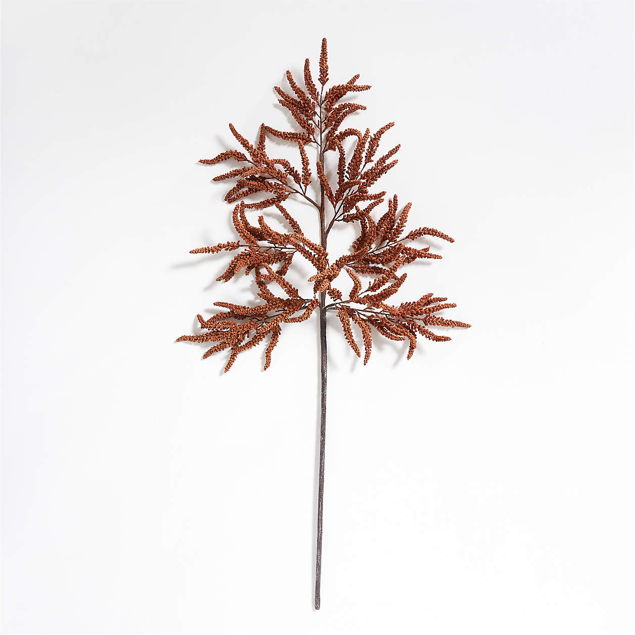 Faux Bronze Amaranthus Stem + Reviews | Crate & Barrel | Crate & Barrel