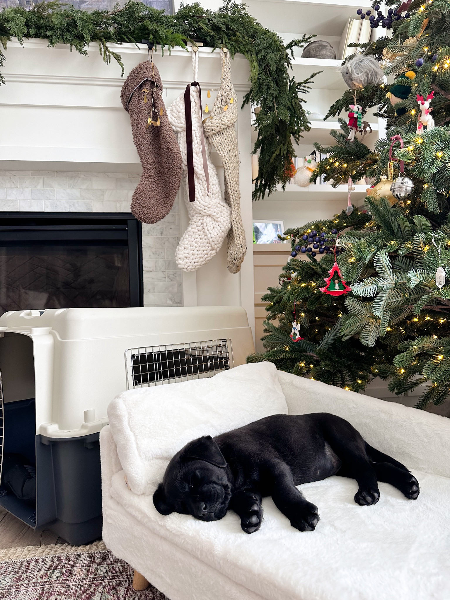 Double the excitement! 🐾🛍️ Welcoming our adorable new puppy, Lolly & taking advantage of all the incredible Cyber Monday deals at Walmart with some puppy essentials & household must-haves! #Walmartpartner #walmartfinds #IYWYK @walmart @shop.LTK #liketkit
🎉✨ #NewPuppyJoy #WalmartCyberMonday

#LTKCyberSaleIT #LTKCyberWeek #LTKCyberSaleES