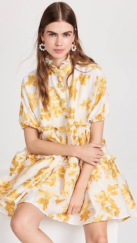 Manhattan Floral Jacquard Dress | Shopbop