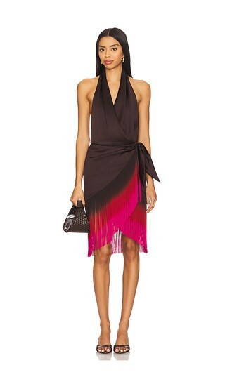 Willow Mini Dress in Dark Brown | Revolve Clothing (Global)