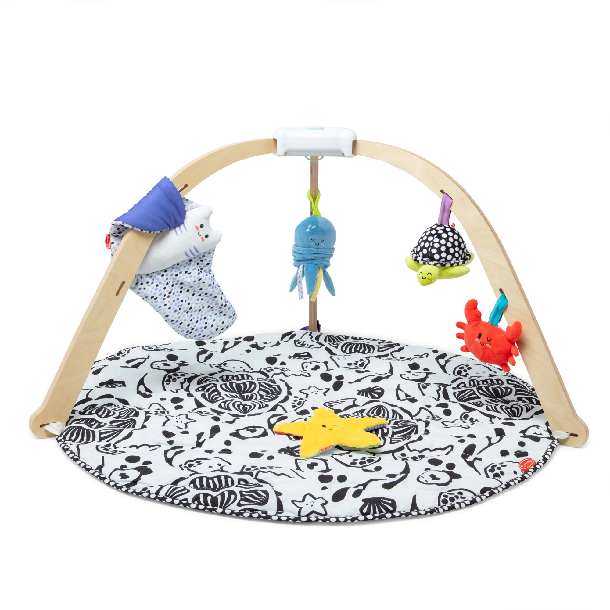 Melissa & Doug Ocean Easy-Fold Play Gym Developmental Toy for Infants up to 9 Months - FSC Certif... | Walmart (US)