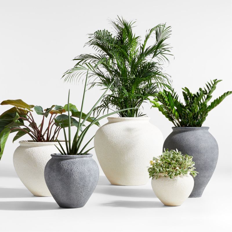 Ophelia Indoor/Outdoor Planters | Crate & Barrel | Crate & Barrel