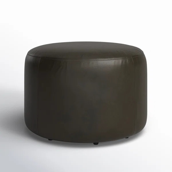 Danva Leather Ottoman | Joss & Main