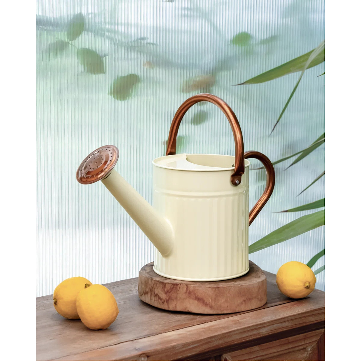 1/2 Gallon Stainless Steel Watering Can Removable Spout Embossed Design Indoor Outdoor Plants Hom... | Wayfair North America