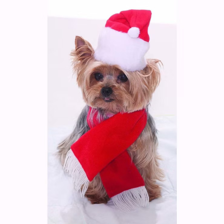 Forum Novelties Santa Christmas Pet Costume | Target
