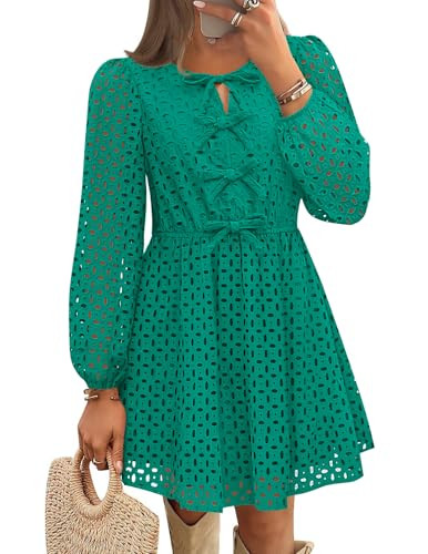 ZESICA Women's Long Sleeve Mini Dress 2025 Fall Crewneck Tie Front Hollow Out Eyelet Babydoll A L... | Amazon (US)
