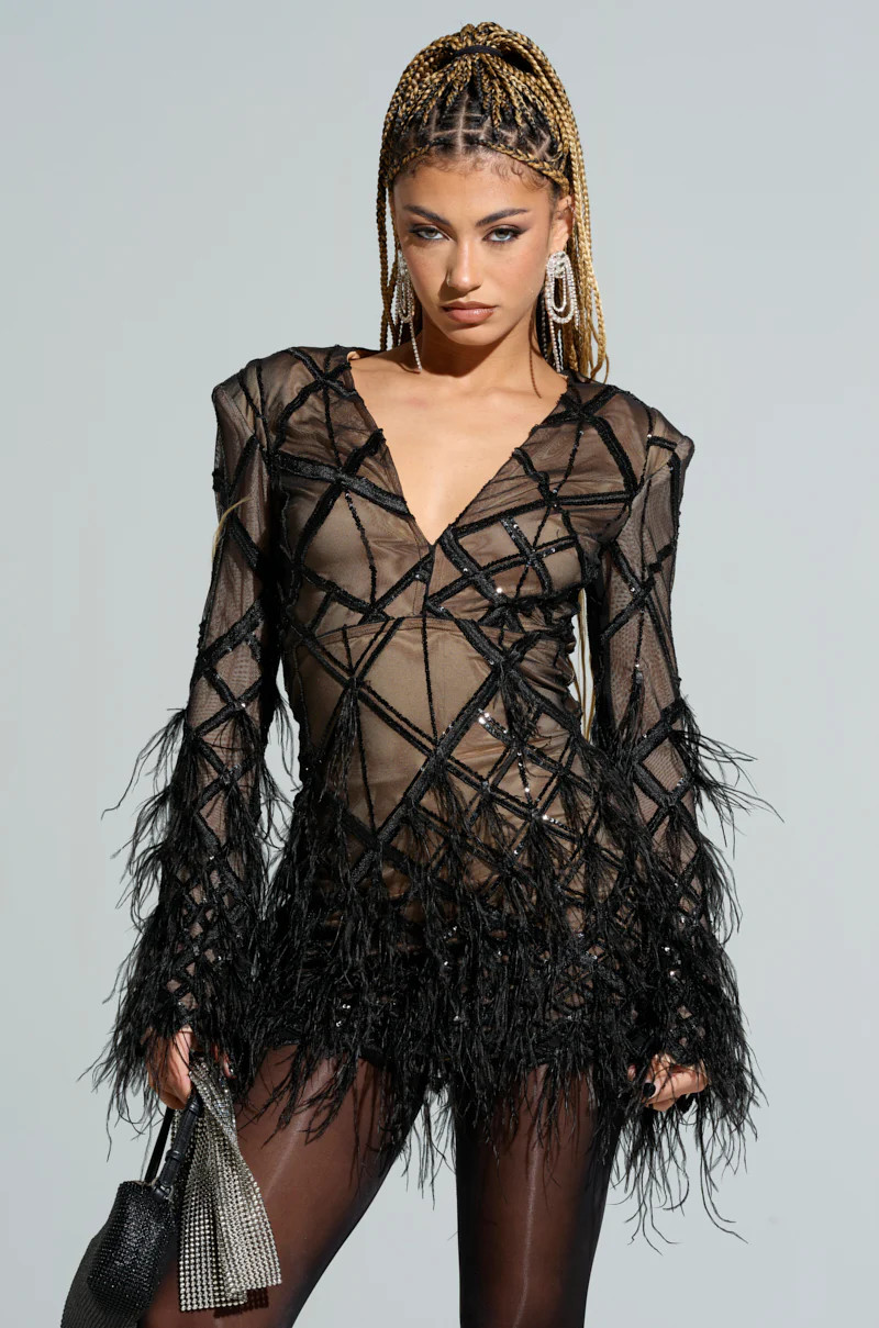 SHOW ME A GOOD TIME MESH MINI DRESS | AKIRA