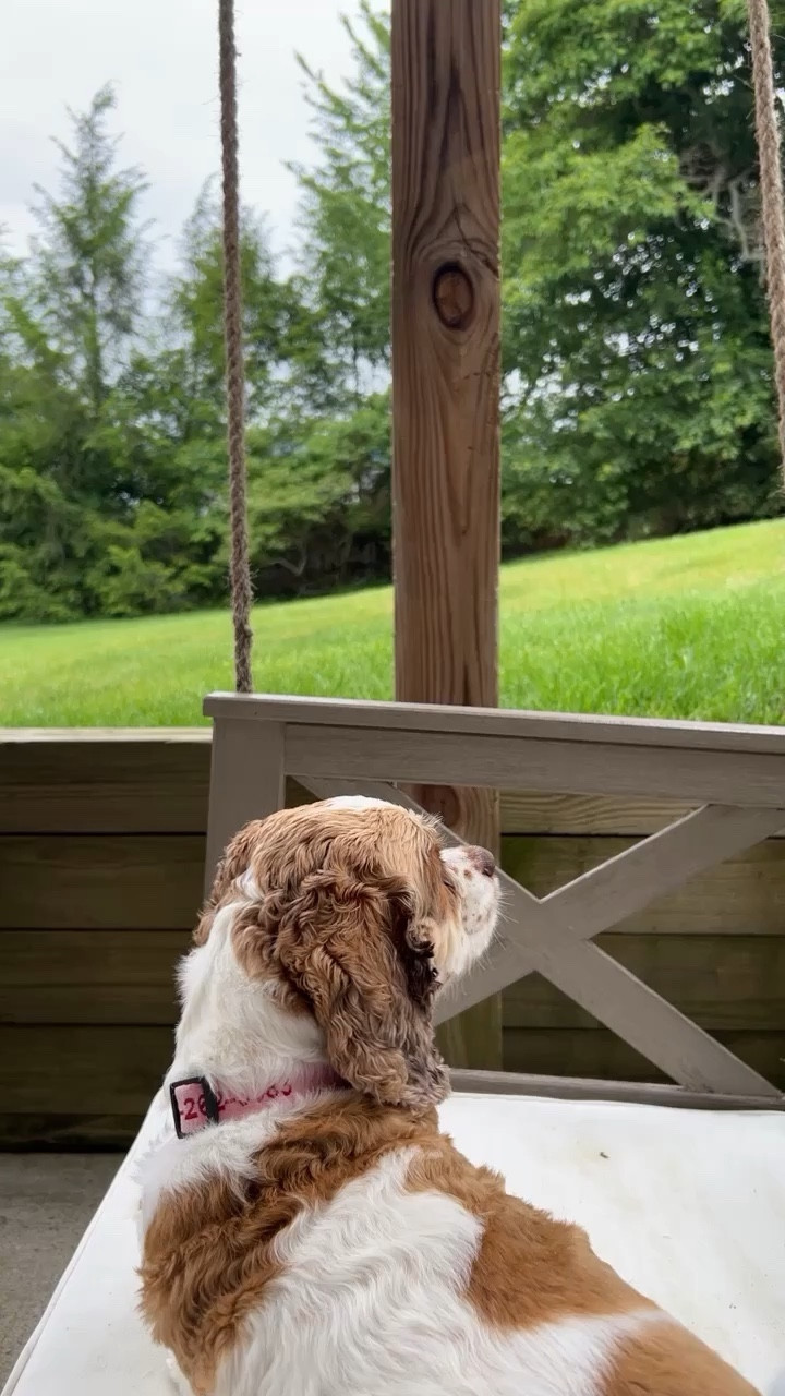 Slow saturdays >

#walmartfinds #porchswing #patiodecor

#LTKFind #LTKhome #LTKGiftGuide