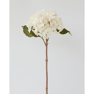 Hydrangea Stem in Cream 45cm | MyDeal - AU