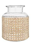 Bloomingville 8" H Glass Decorative Cane Sleeve Vase, Clear | Amazon (US)