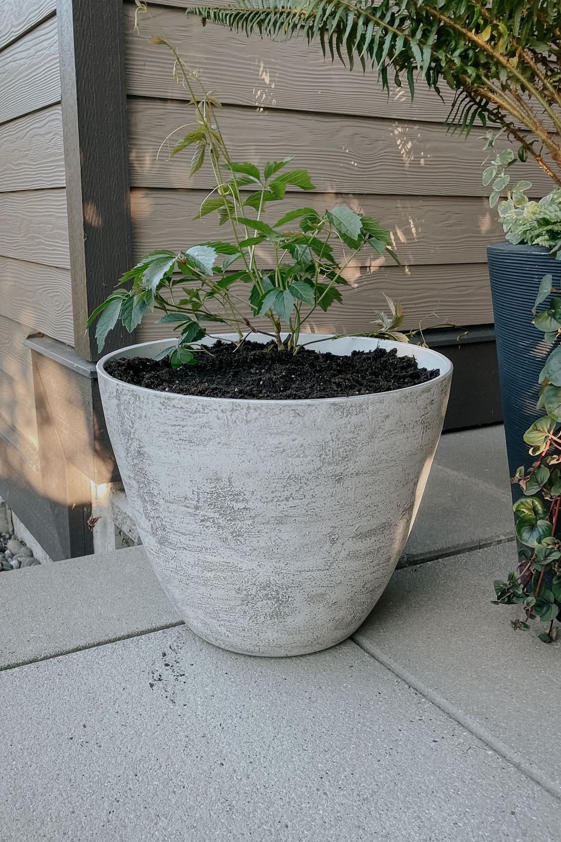 Faux stone planter. Original in store at Walmart - hometrends brand. Faux stone outdoor planters. Under $30

#LTKFind #LTKSeasonal #LTKunder50