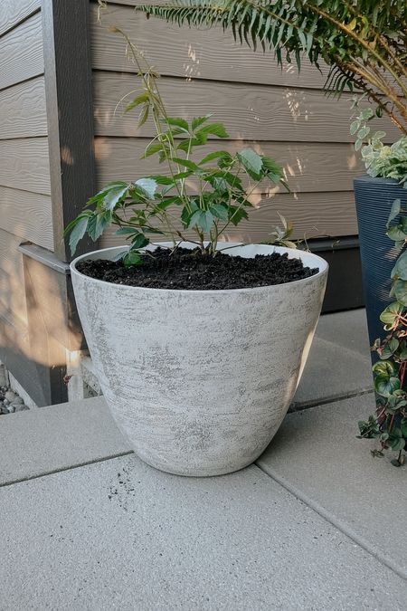 Faux stone planter. Original in store at Walmart - hometrends brand. Faux stone outdoor planters. Under $30

#LTKFind #LTKSeasonal #LTKunder50