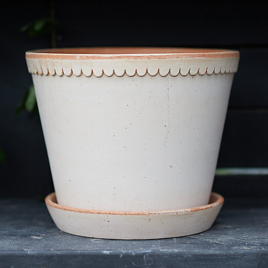 Bergs Scallop Pot + Saucer Set | Terrain