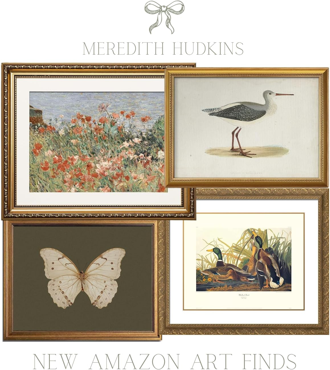 Meredith Hudkins | Amazon (US)