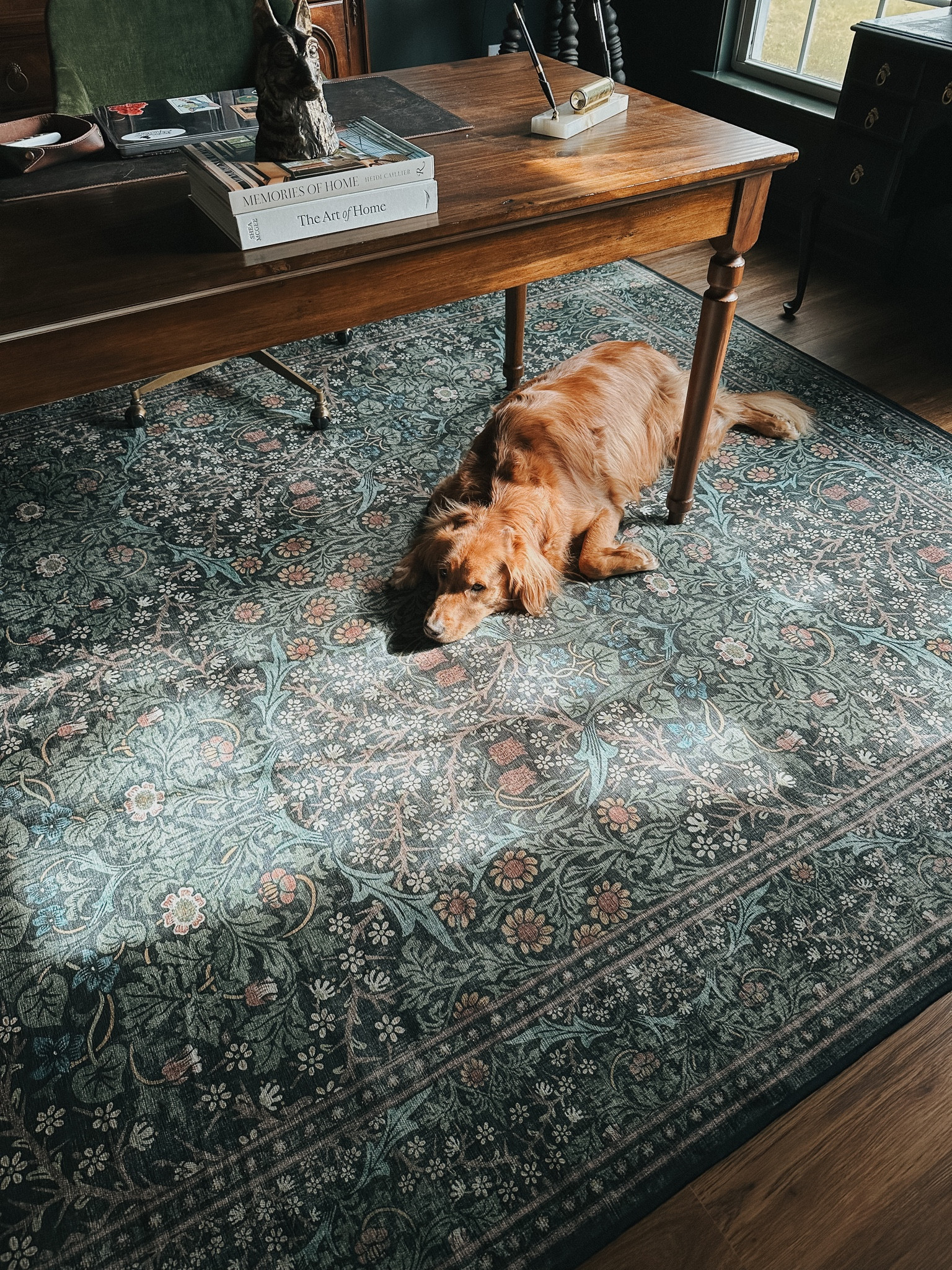 Teddy’s new favorite rug 😍

#LTKhome