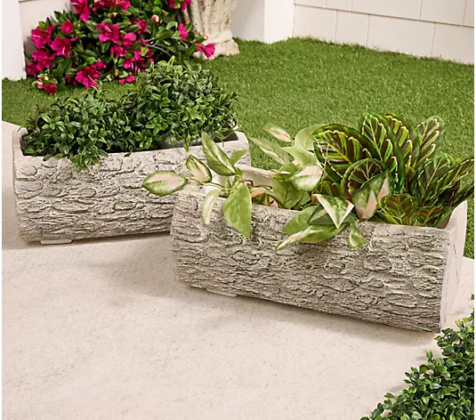 Make Your Selection: Martha Stewart Set of 2 14" Trough Faux Bois Planters | QVC