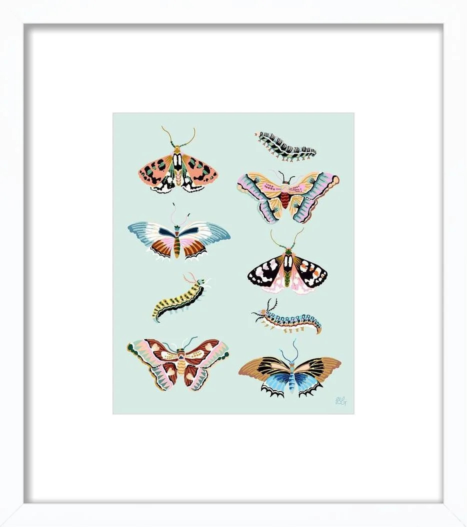 Wondergarden Butterfly | Artfully Walls