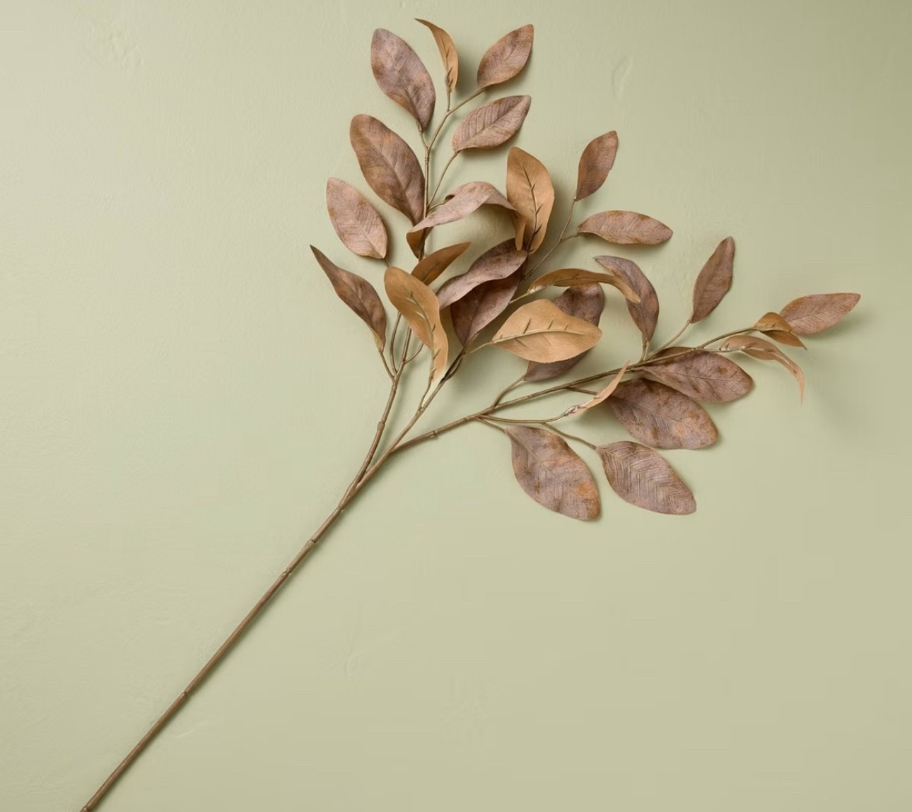 Rusted Eucalyptus Fall Stem - Hearth & Hand™ with Magnolia

#LTKHome #LTKSeasonal