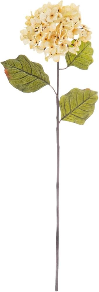 Hobby Lobby Hydrangea Spray Artificial Flower Stem, Cream, 28 Inches Long, 6 Inches Wide, Faux Fl... | Amazon (US)