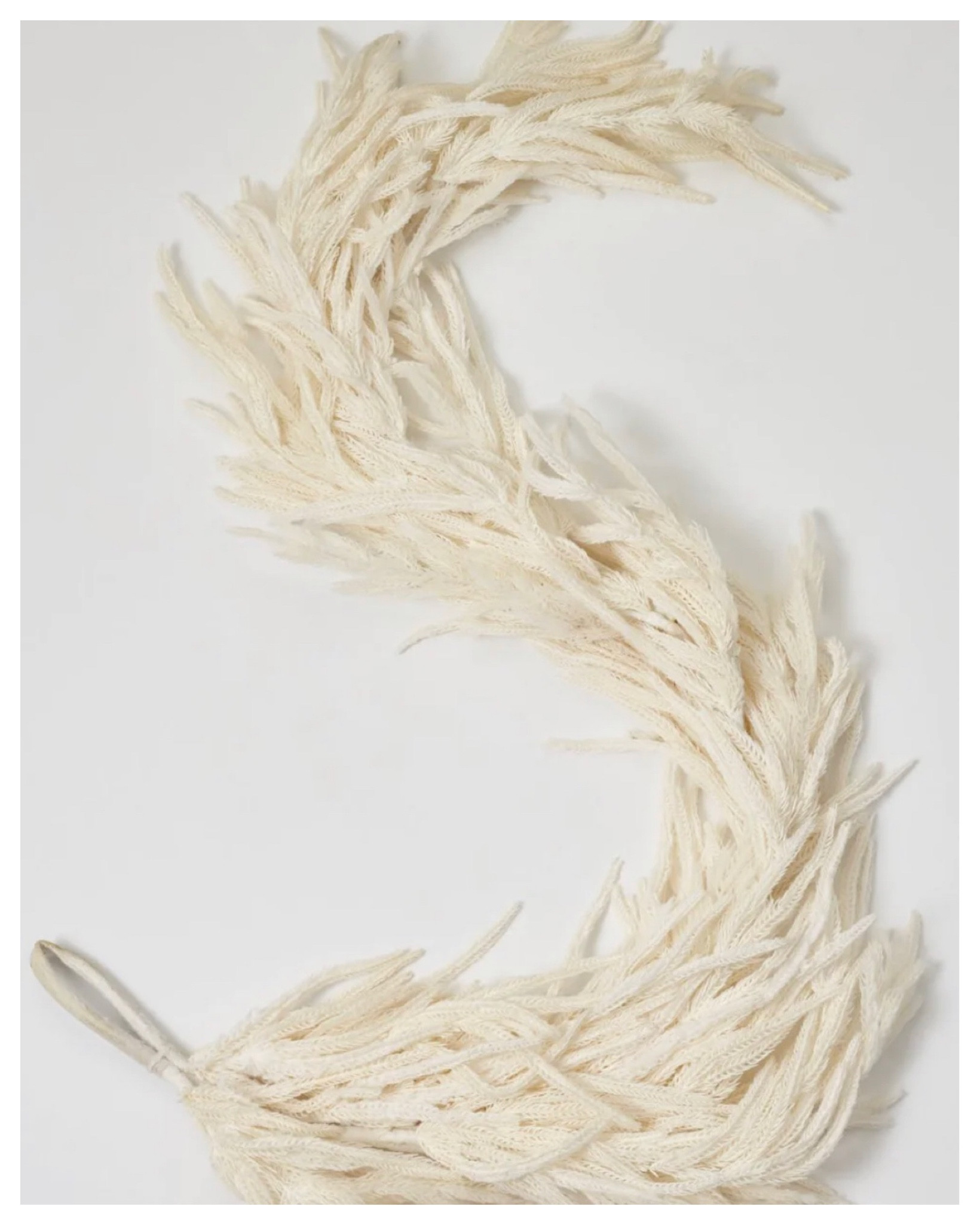 White Norfolk Pine Garland
.
#whitenorfolkpinegarland #christmasgarland

#LTKHoliday #LTKSeasonal #LTKhome