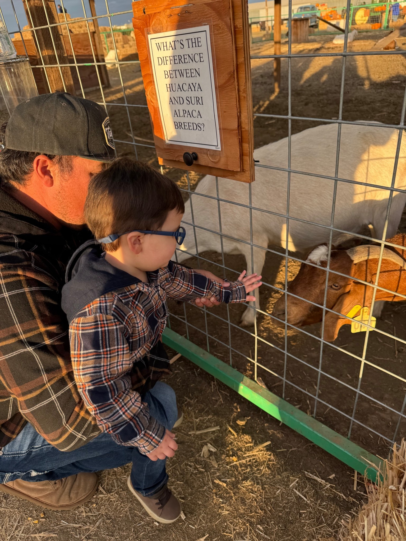 #LTKKids #LTKBaby #LTKFamily