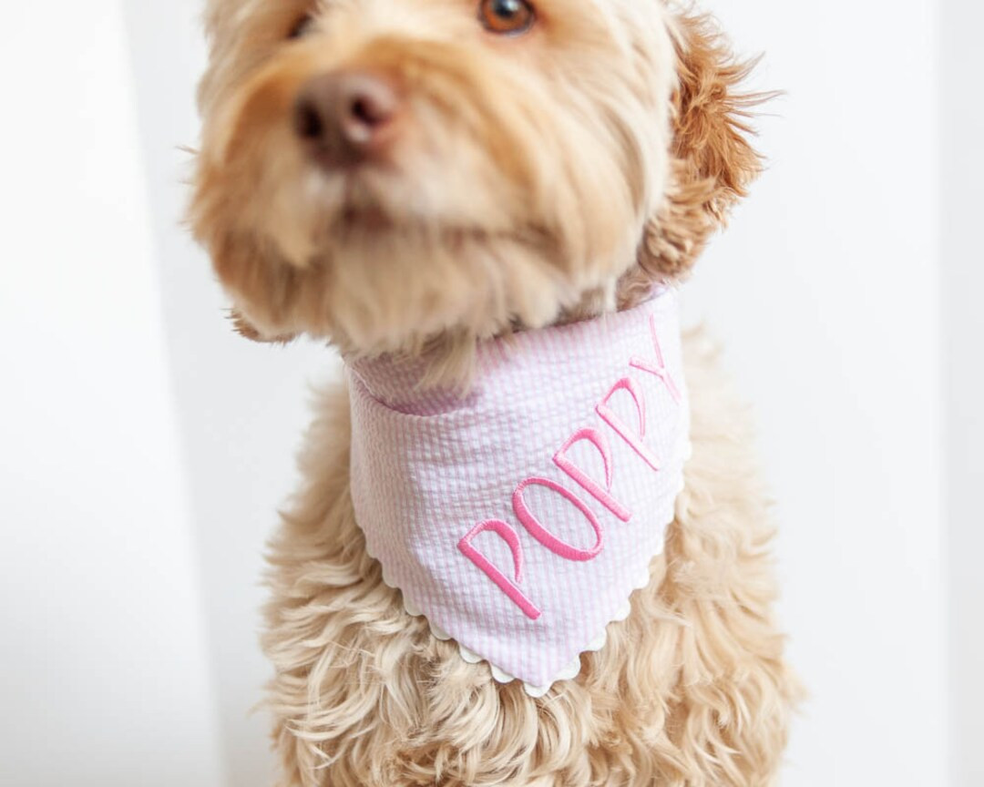 Pink Seersucker Bandana With Snaps Bandana for Dog Custom Bandana Personalized With Name Embroide... | Etsy (US)