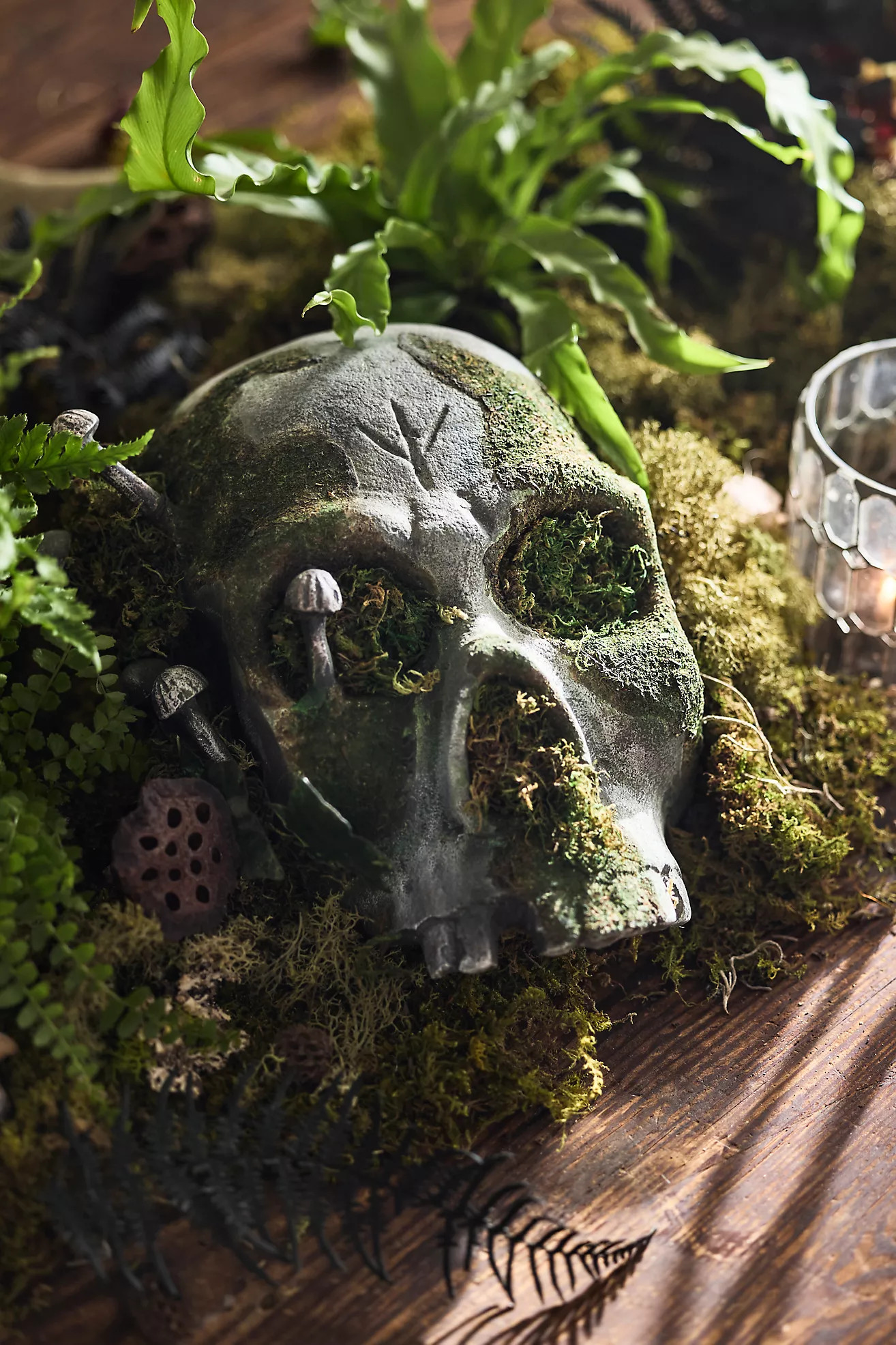 Mossy Metal Skull | Anthropologie (US)