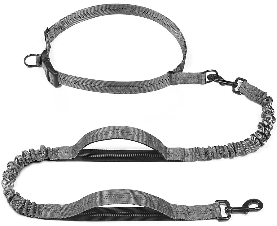 iYoShop Retractable Hands Free Dog Leash - Dual Handle Bungee Waist Leash for Small, Medium and L... | Amazon (US)