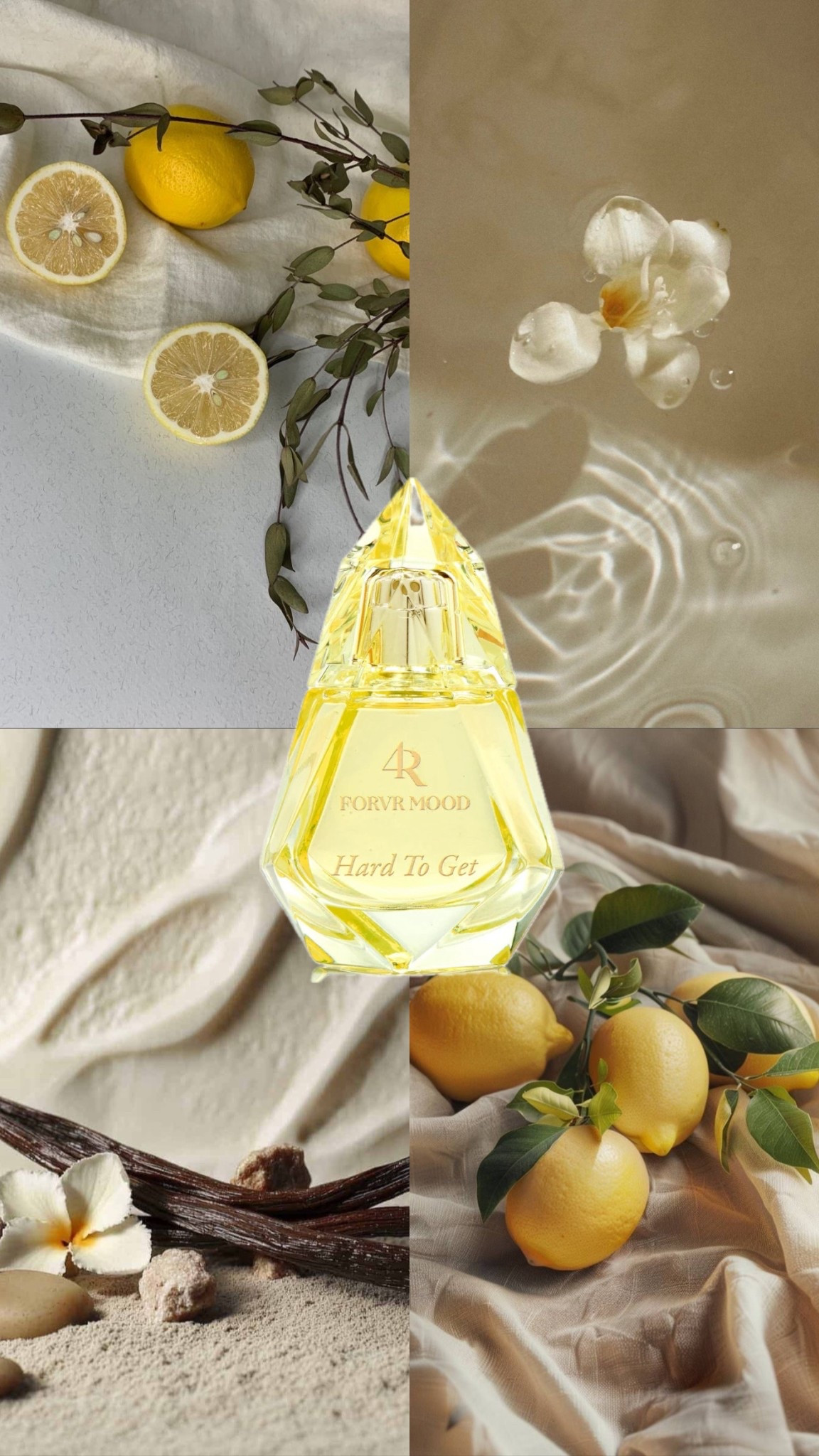✨ Happy National Fragrance Day! ✨ Let’s celebrate the power of scent, the memories it unlocks, the confidence it inspires, and the beauty it adds to everyday life. Today I’ll be posting some of my all time favorite fragrances but what fragrance are you wearing to mark the day? 💐 #NationalFragranceDay #ScentOfTheDay

#LTKFindsUnder100 #LTKBeauty #LTKStyleTip