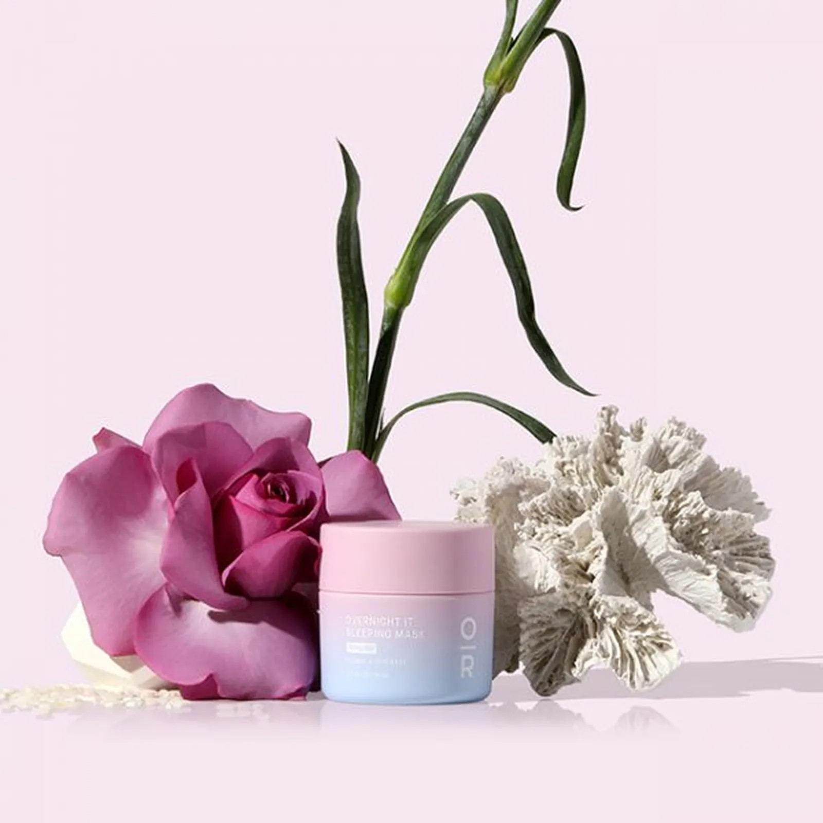 Overnight It | Onyx + Rose