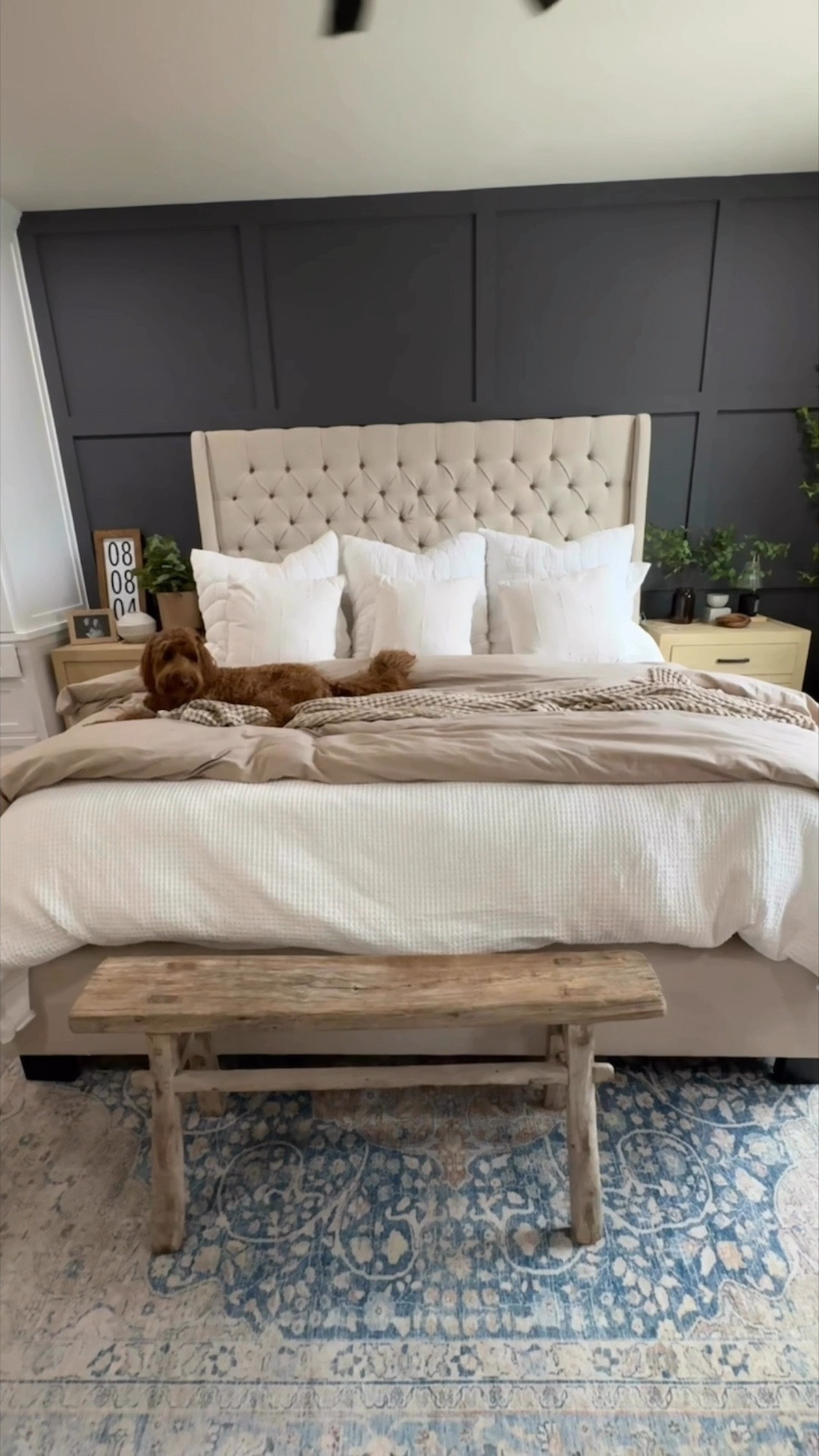 I asked Bryan for a moody accent wall and he nailed it!!! Color is sherwin Williams “forged steel” 
Most of the decor is from Amazon home and target but I’ll put all the details I can!! 🩷 what do you think?

#LTKHome #LTKSaleAlert #LTKVideo