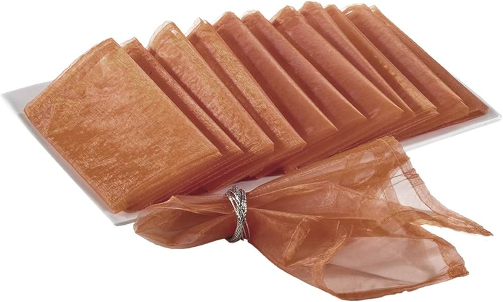 Fennco Styles Sorbet Collection Elegant Sheerness Organza 20 x 20 Inch Cloth Napkins, Set of 12 -... | Amazon (US)