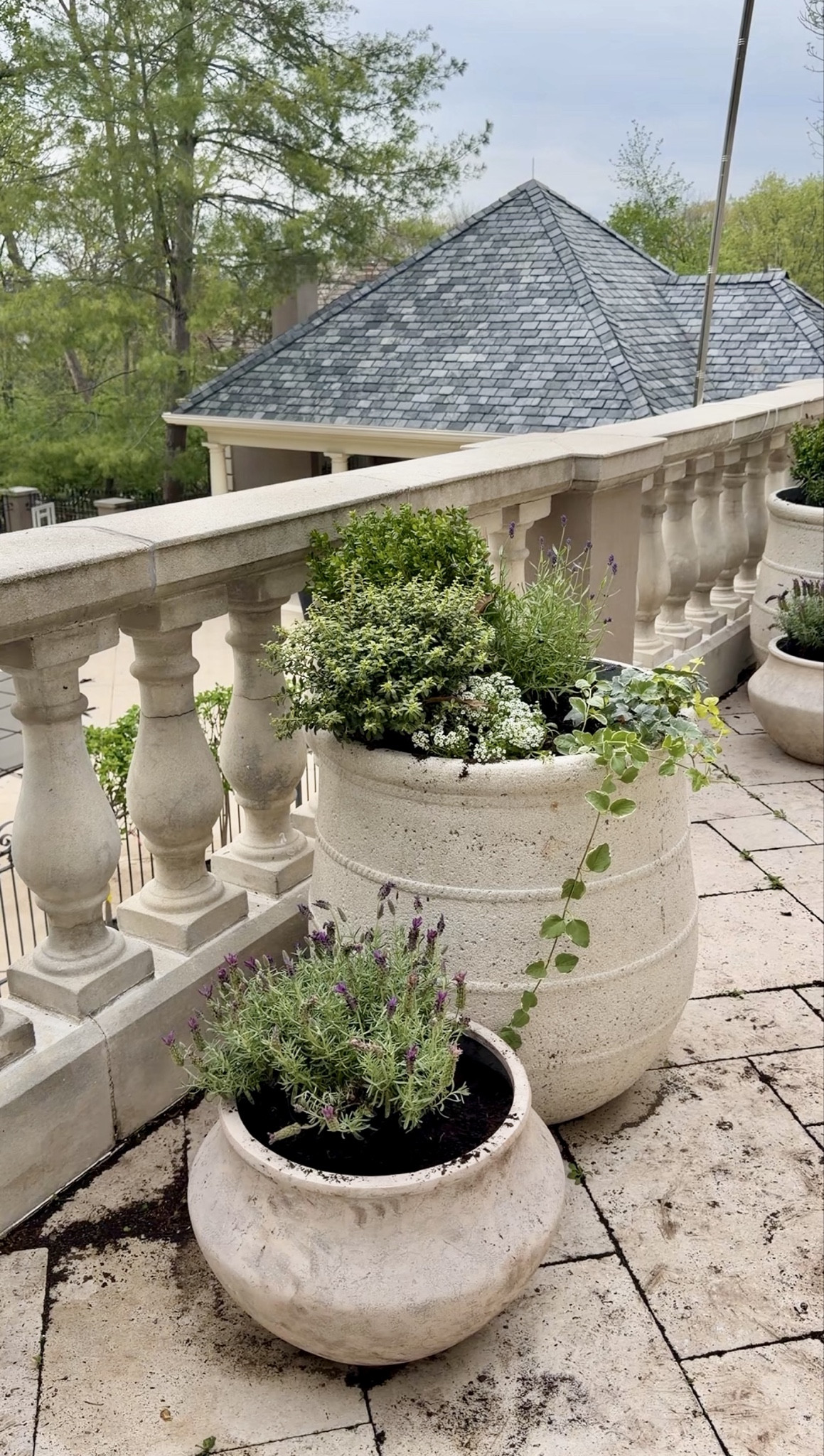 Diving into my gardening era and finding some AMAZING outdoor pots recently!!

#LTKHome #LTKselfcare #LTKmomlife