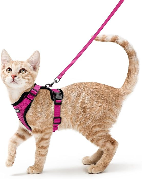 rabbitgoo Cat Harness and Leash for Walking, Escape Proof Soft Adjustable Vest Harnesses for Cats... | Amazon (US)