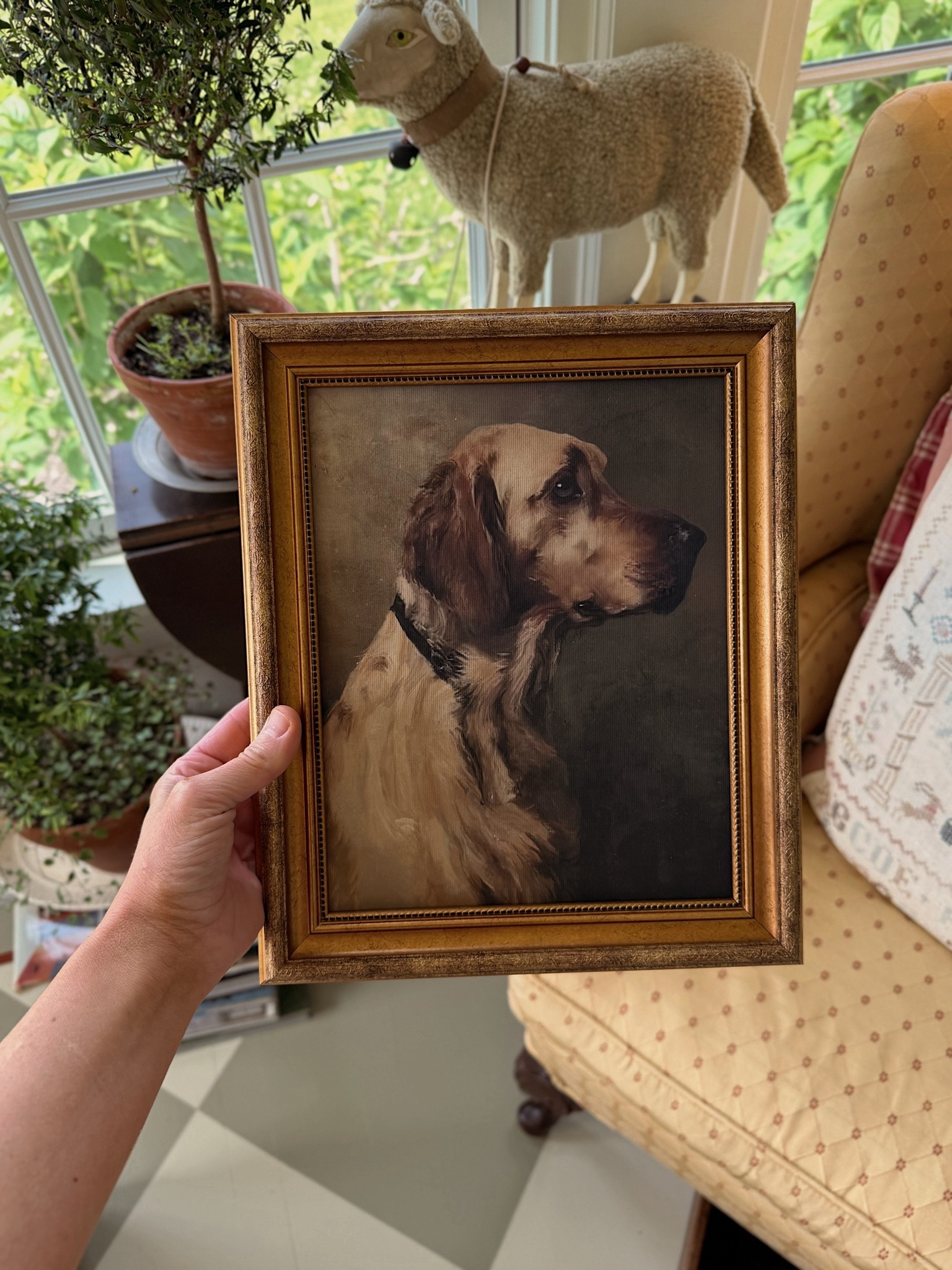 The cutest dog portrait!!