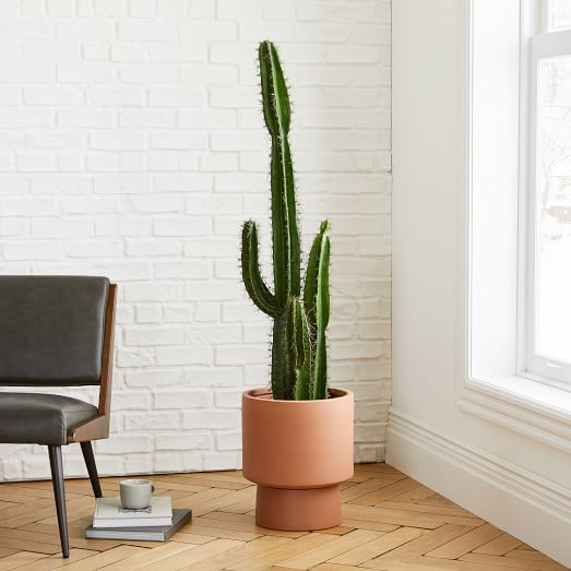 Faux Cactus & Terracotta Bishop Pedestal Planter Set | West Elm (US)