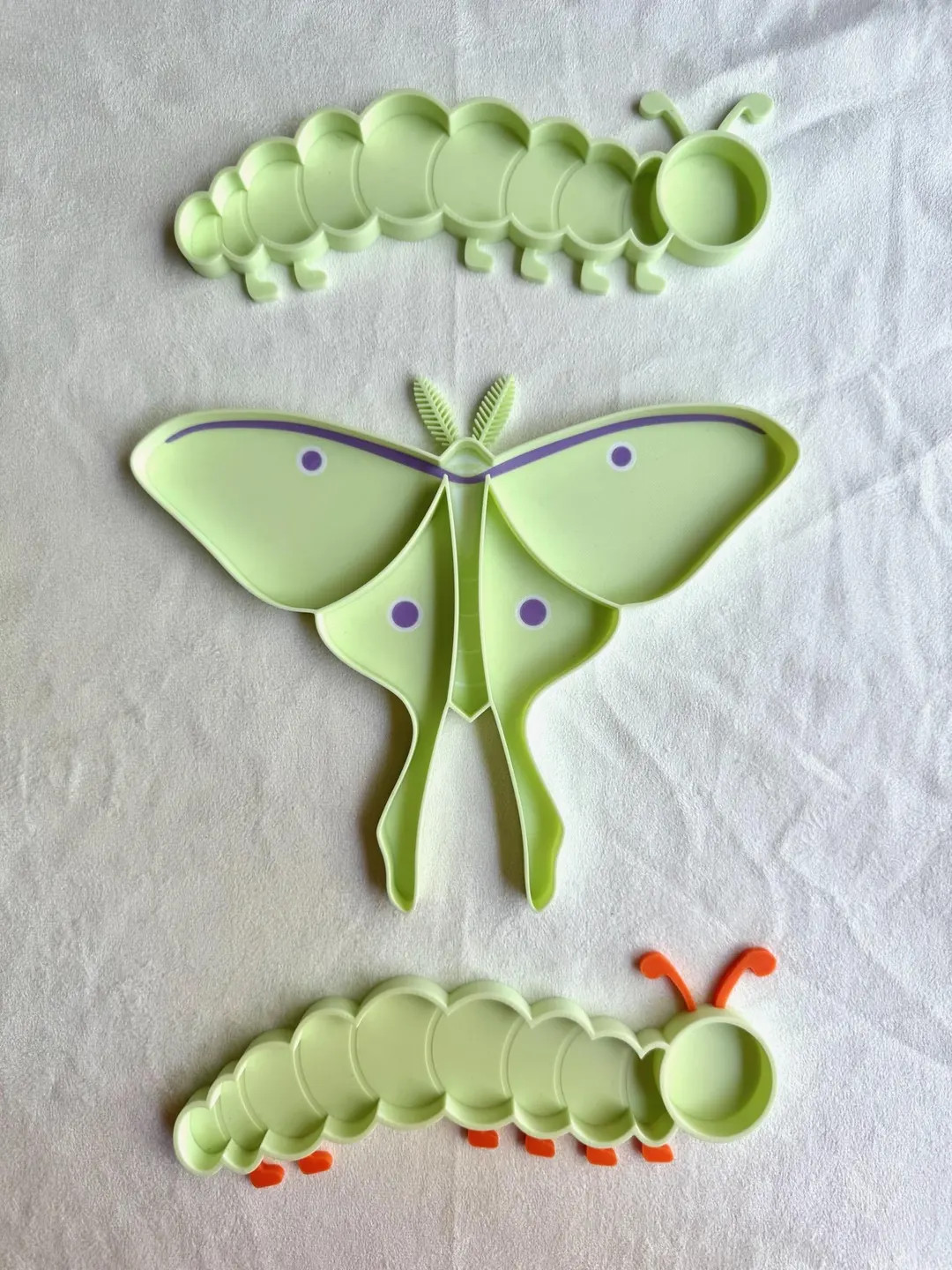 Luna Moth Tray | Caterpillar Tray - Etsy | Etsy (US)